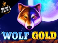 Slot machine Wolf Gold